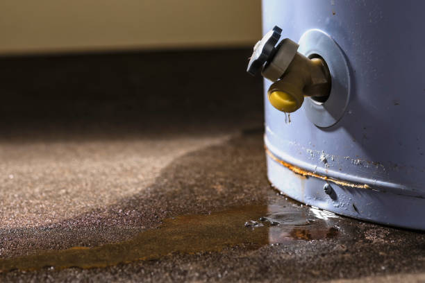 Best Water damage cleanup near me  in Wyoming, OH