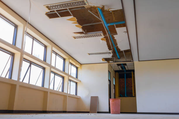 Best Flood damage cleanup  in Wyoming, OH
