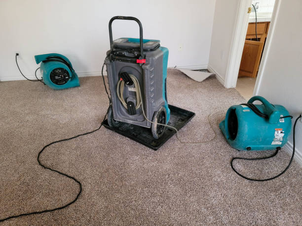 Best Water damage cleanup near me  in Wyoming, OH