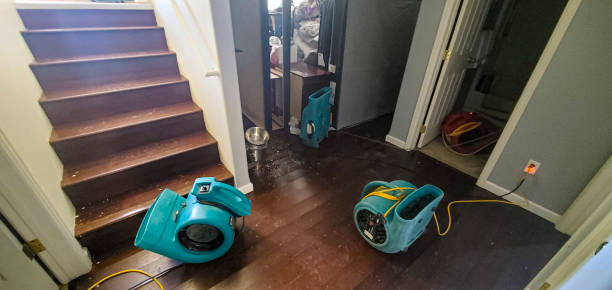 Best Water damage contractors near me  in Wyoming, OH