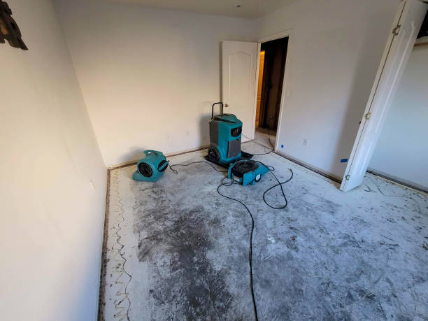 Best Local water damage restoration  in Wyoming, OH