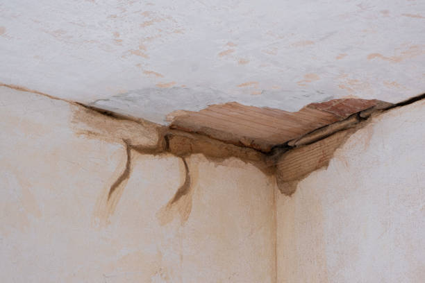 Best Emergency water damage restoration  in Wyoming, OH