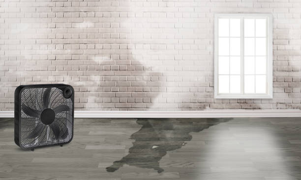 Best Residential water damage restoration  in Wyoming, OH