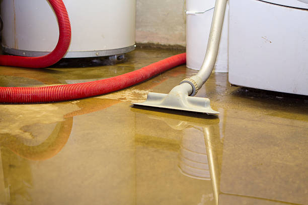 Best Carpet water damage restoration  in Wyoming, OH