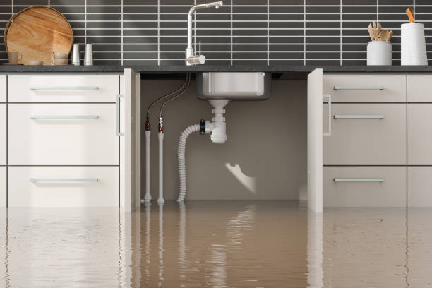 Best Flooded house restoration  in Wyoming, OH