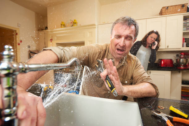 Best Professional water damage repair  in Wyoming, OH